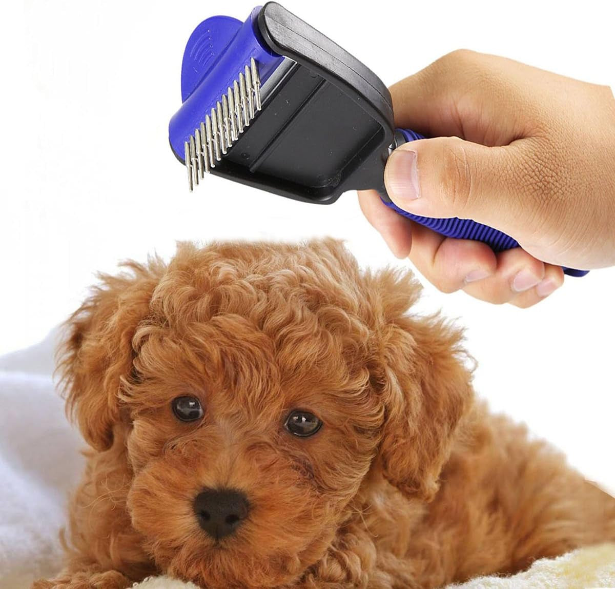 The Desheddinator - Versatile Grooming Tool: Undercoat Rake for Dogs, Cats, and Horses, Deshedding Brush and Comb for Pet Grooming