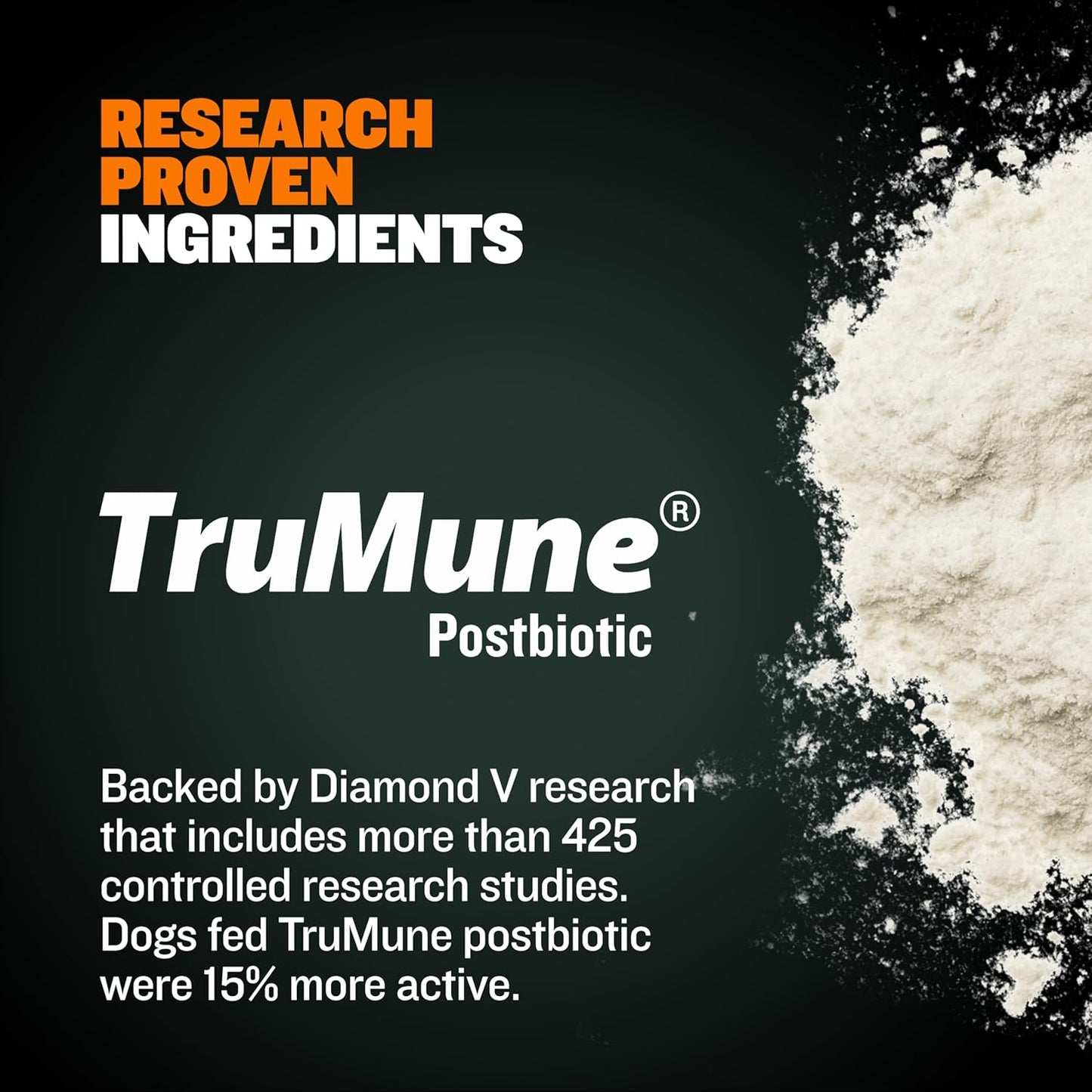 High Performance Premium Dry Dog Food for All Ages - High Protein Natural Puppy Food for Small & Large Breed Puppies & Adult Dogs, 15 Lb Bag