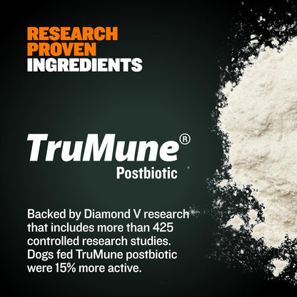 High Performance Premium Dry Dog Food for All Ages - High Protein Natural Puppy Food for Small & Large Breed Puppies & Adult Dogs, 15 Lb Bag