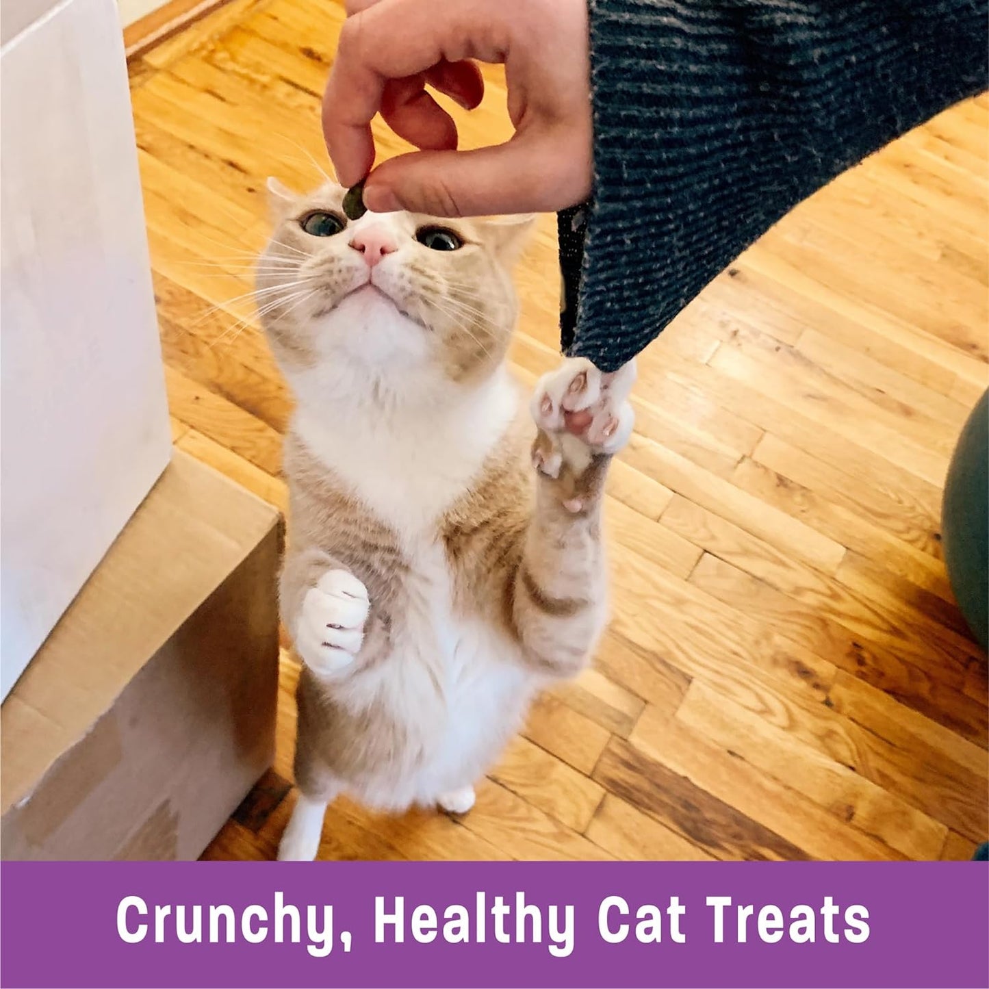 Kittles Crunchy Natural Grain Free Cat Treats, Tuna & Cranberries Recipe, All Life Stages, 6-Ounce Bag